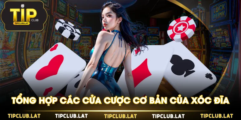 Tổng hợp các cửa cược cơ bản của xóc đĩa